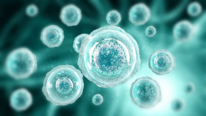 best nad nasal spray Physiological Functions | Shaanxi BLOOM Tech Co., Ltd best nad nasal spray Physiological Functions | Shaanxi BLOOM Tech Co., Ltd