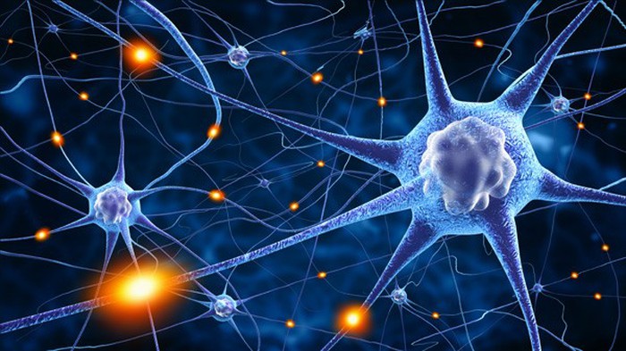 best nad nasal spray Role In Neuroprotection | Shaanxi BLOOM Tech Co., Ltd best nad nasal spray Role In Neuroprotection | Shaanxi BLOOM Tech Co., Ltd