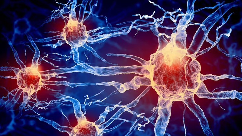 best nad nasal spray Neuroinflammation | Shaanxi BLOOM Tech Co., Ltd best nad nasal spray Neuroinflammation | Shaanxi BLOOM Tech Co., Ltd